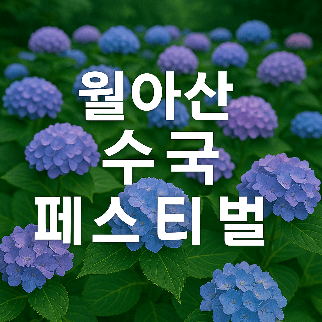 월아산 수국수국 페스티벌
