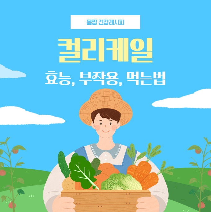 컬리케일 효능 부작용, 갑상선·신장 걱정 없이 안전하게 먹는법은?