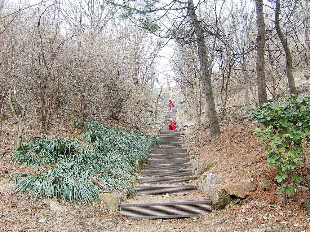 고은초등학교 옆 고은산