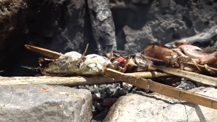 지구마불-빠니보틀