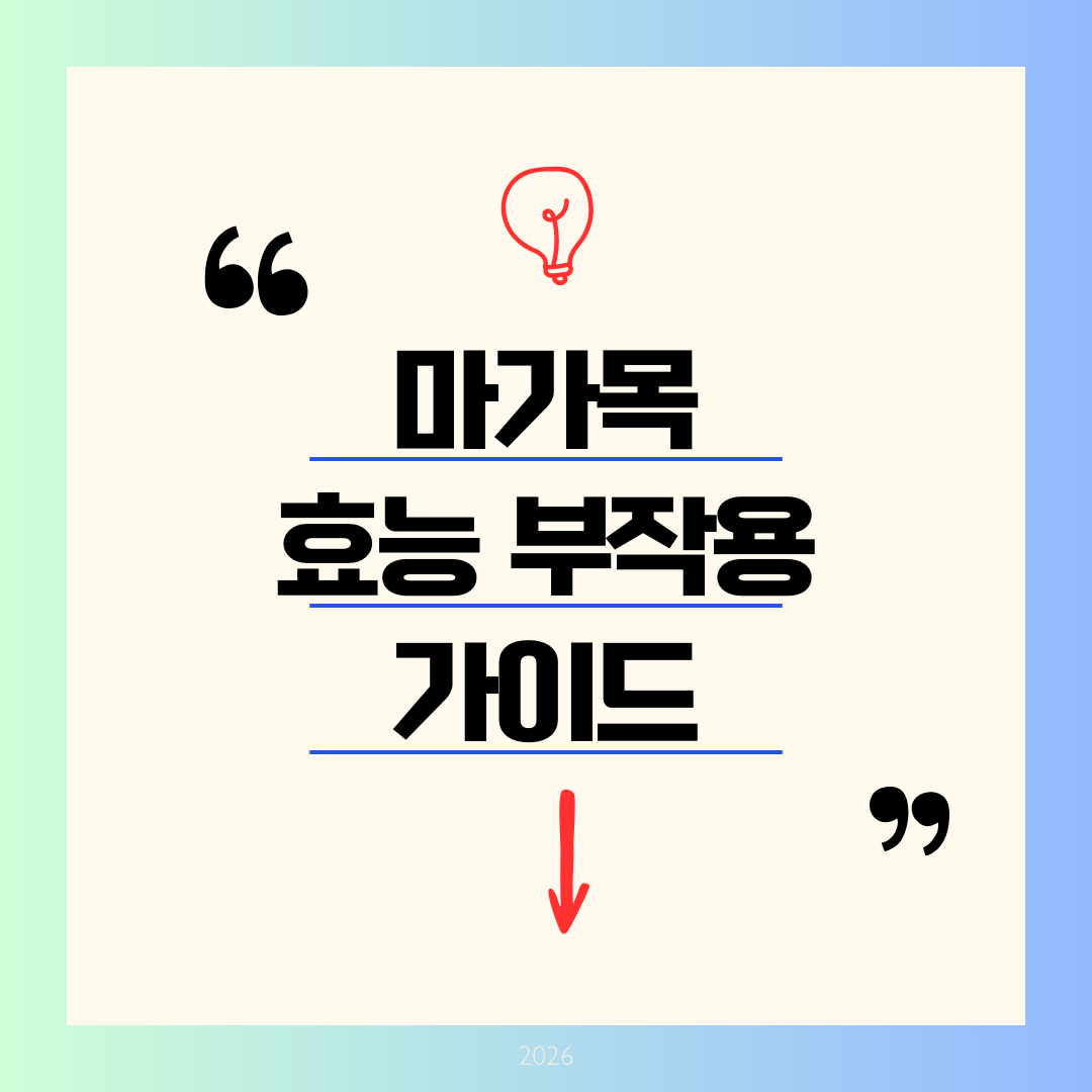 마가목 효능 부작용 완전정리 ❘ 나무 중의 으뜸, 동의보감이 인정한 한국 토종 약재