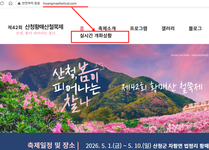 황매산 철쭉 개화시기