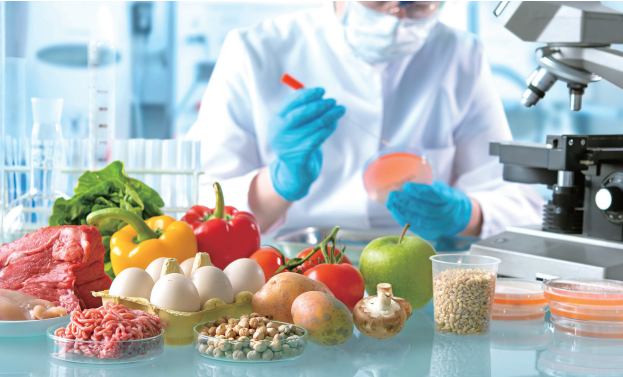 식품공학시험원-하는일-업무환경-되는법-학과-전망