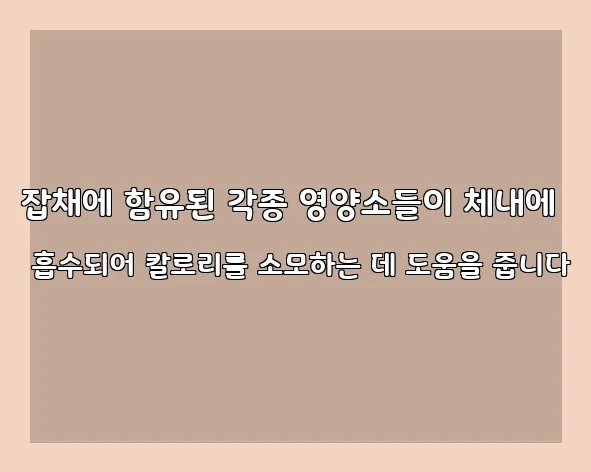 잡채에 함유된 각종 영양소들이 체내에 흡수되어 칼로리를 소모하는 데 도움을 줍니다