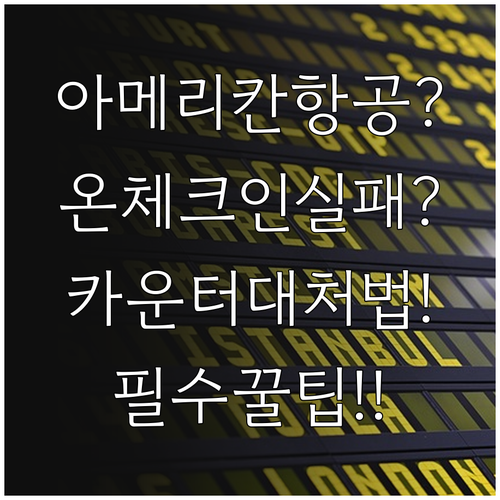 아메리칸항공 온라인 체크인이 안 될 ..