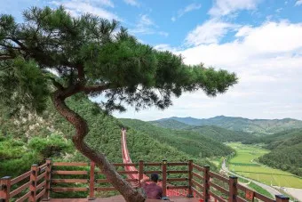 순창 가볼만한곳 베스트10 현지인 추천 필수코스_34