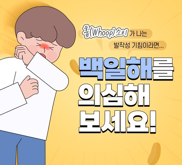 백일해 증상