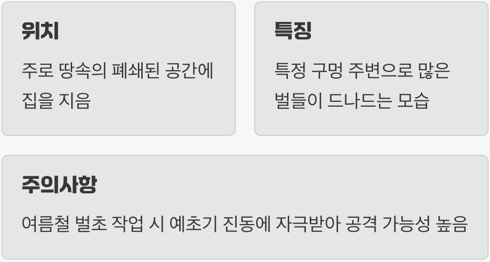 땅속의 시한폭탄, 땅벌(털보말벌)의 지하 벙커