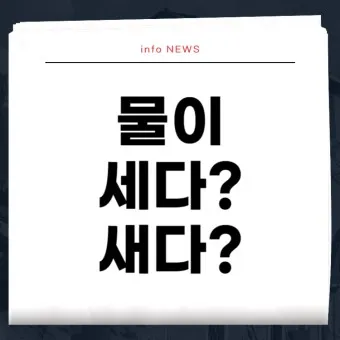 물이 세다 새다 맞춤법 맞는 표현_7