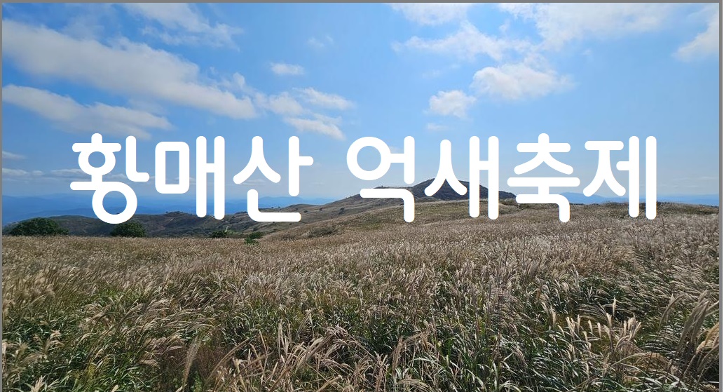 황매산 억새축제