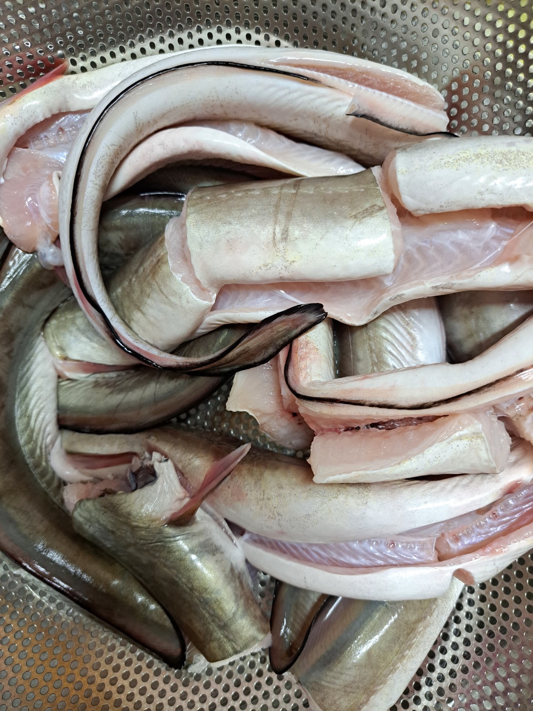 하모(갯장어) 수육 이름만 들었던 생선 하모로 직접 요리를 하다