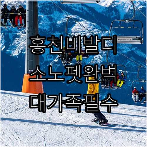 홍천 비발디파크 숙소 추천 소노펫 애..