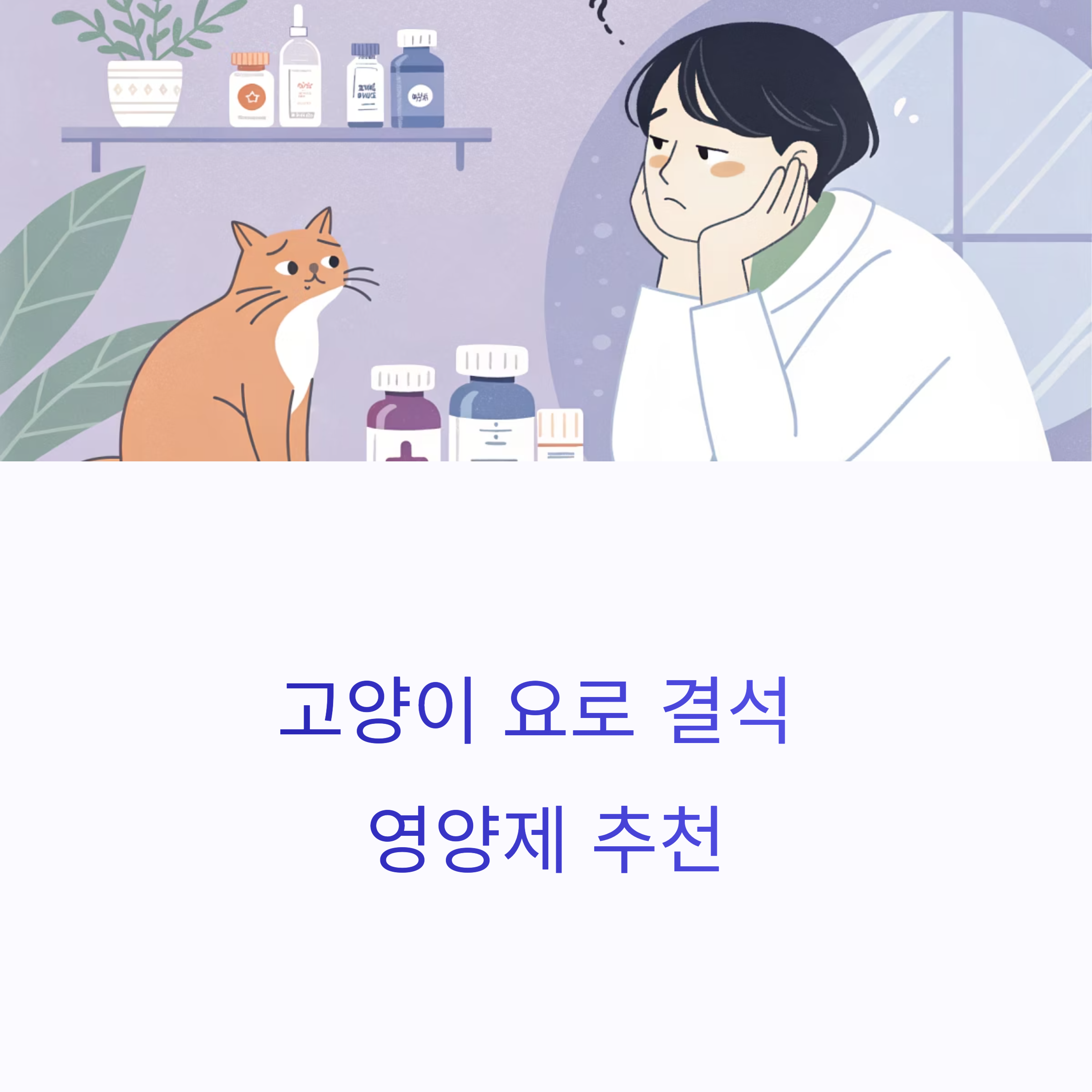 고양이 요로 결석 영양제 추천