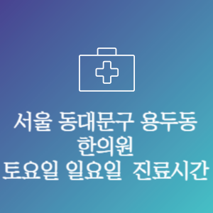서울 동대문구 용두동 한의원 주말 토요일 일요일 문여는 병원 진료시간