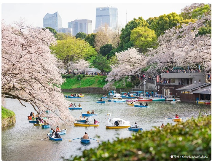 치도리가후치 뱃놀이