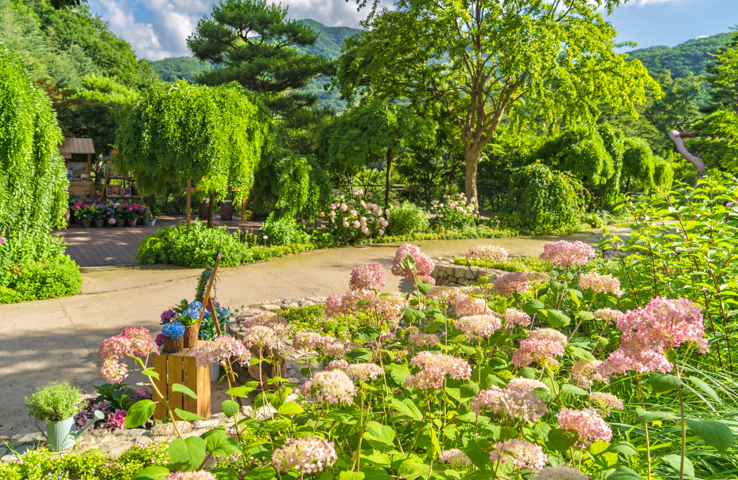 화담숲 여름 수국 축제 사전예약 바로가기