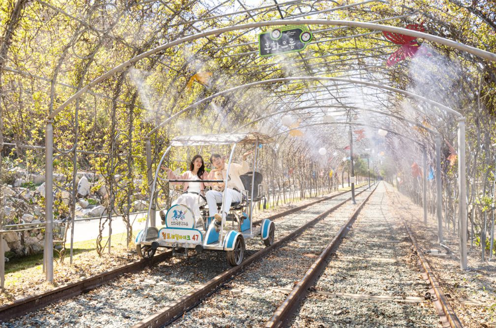 청도 레일바이크