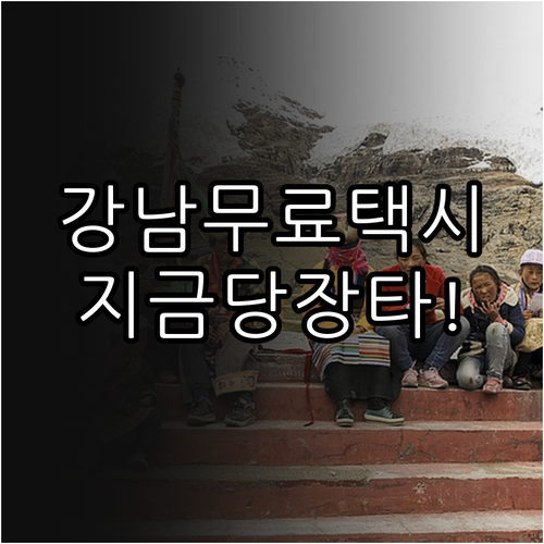 서울시 강남 심야 자율주행 택시 무료..