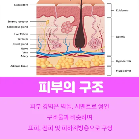 가을철 피부 가려움
