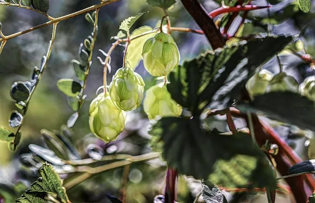 부딪치다 부딪히다 맞춤법 차이 예시_4