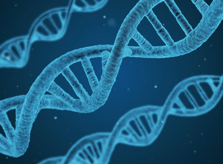 국가검진 대상자