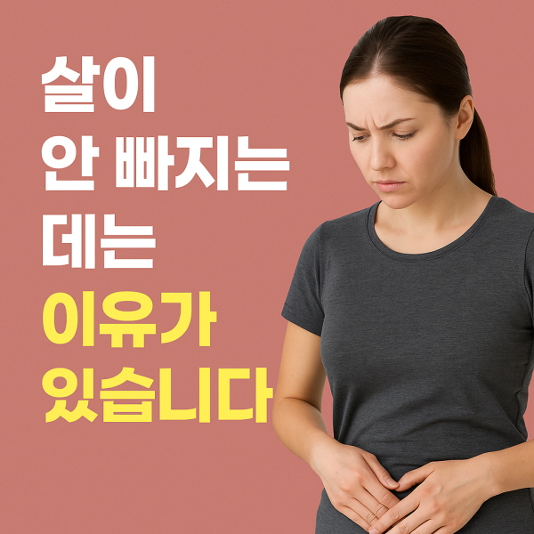 살이 안 빠지는 데는 이유가 있습니다/GPT