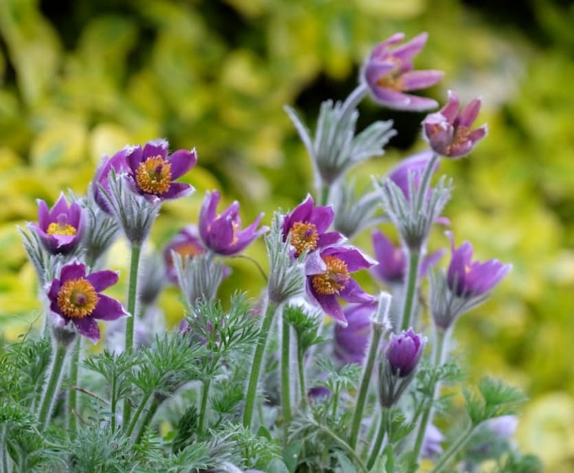 계절 변화와 면역력 관리의 중요성