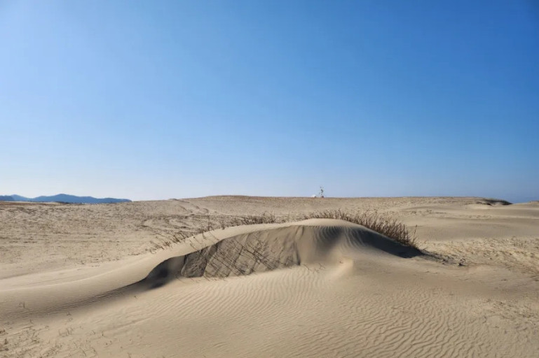 신두리 해안사구