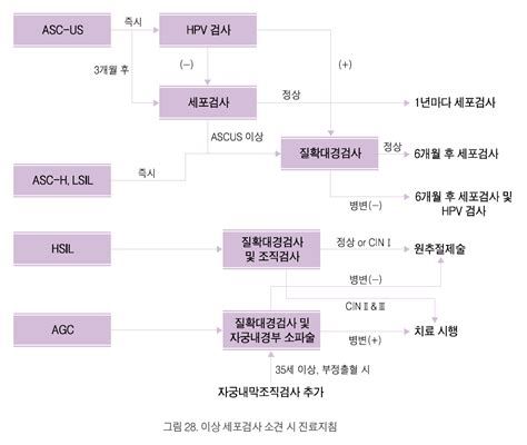 자궁경부조직검사