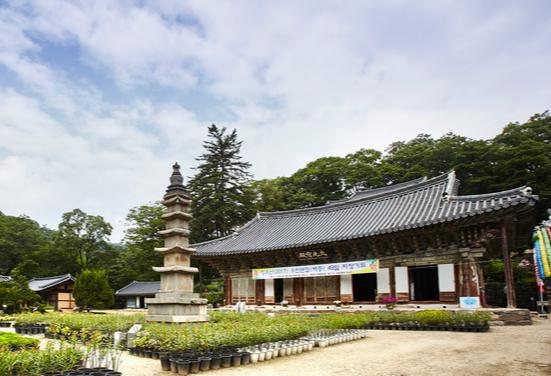 공주 가볼만한곳 베스트10