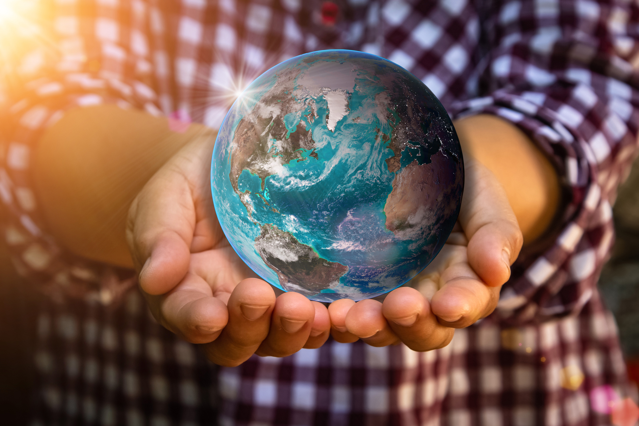 미세플라스틱이 무너뜨리는 바다의 공생