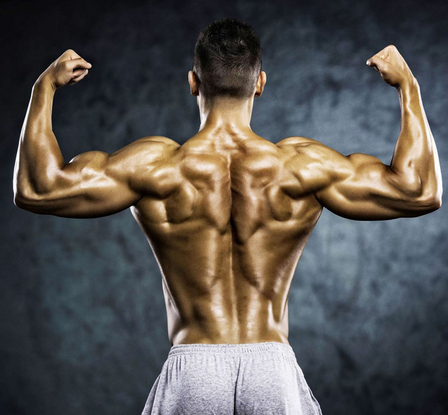 등이 근육질인 남성 사진
