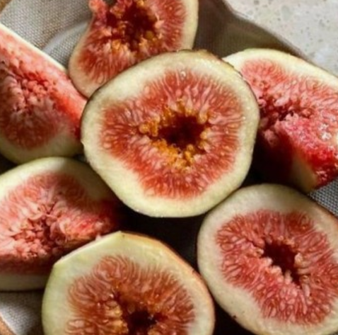 무화과 소화개선 항산화효과