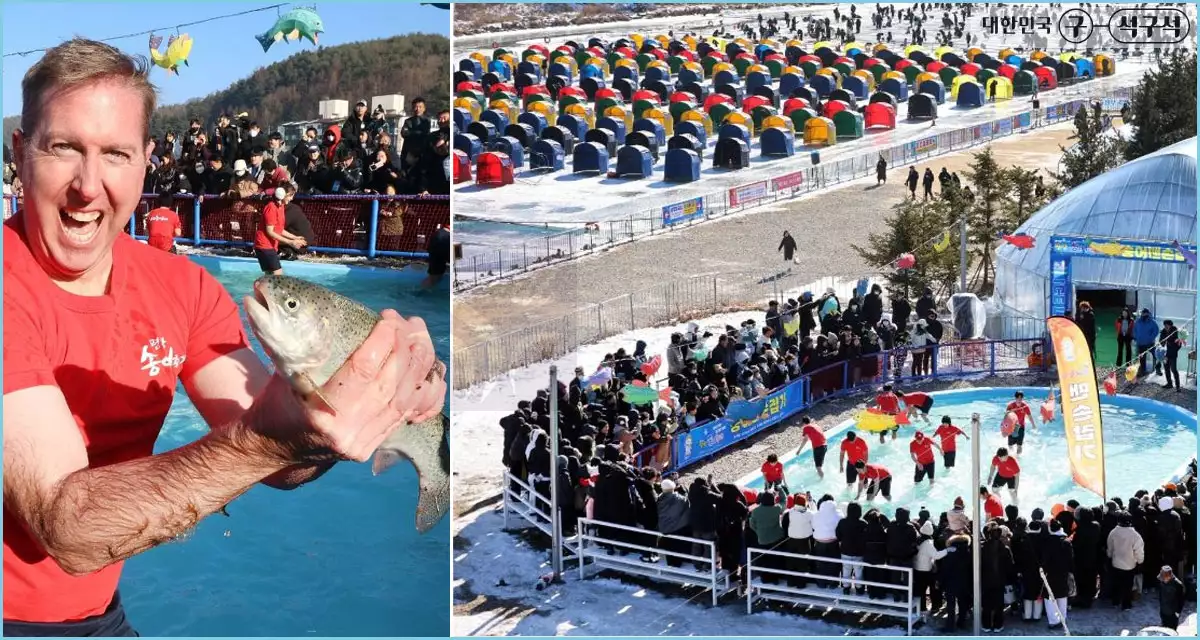 평창송어축제 맨손잡기