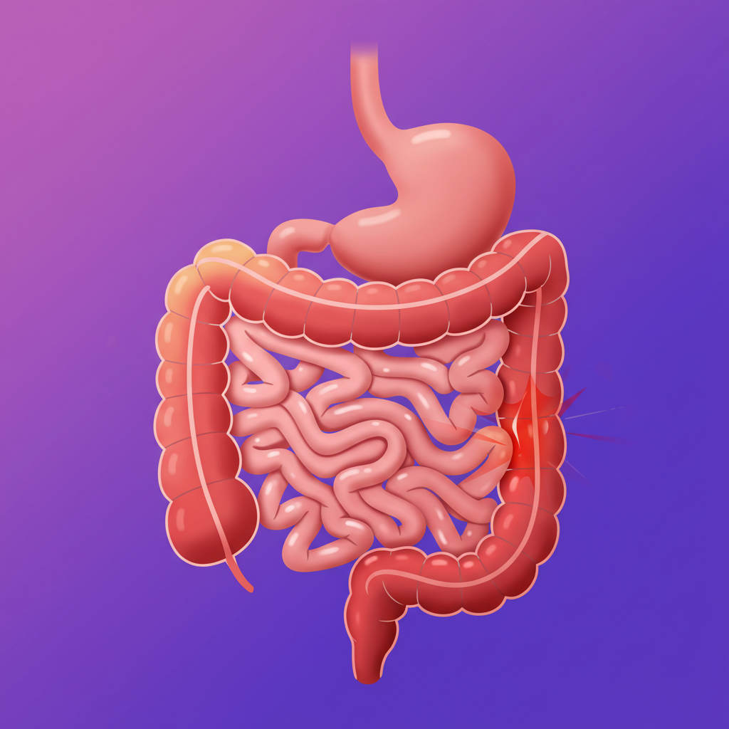 장염에 먹어도 되는 음식