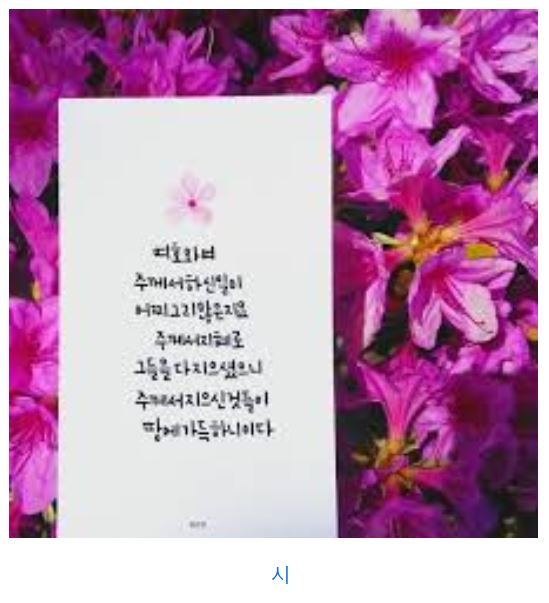 시편 104편