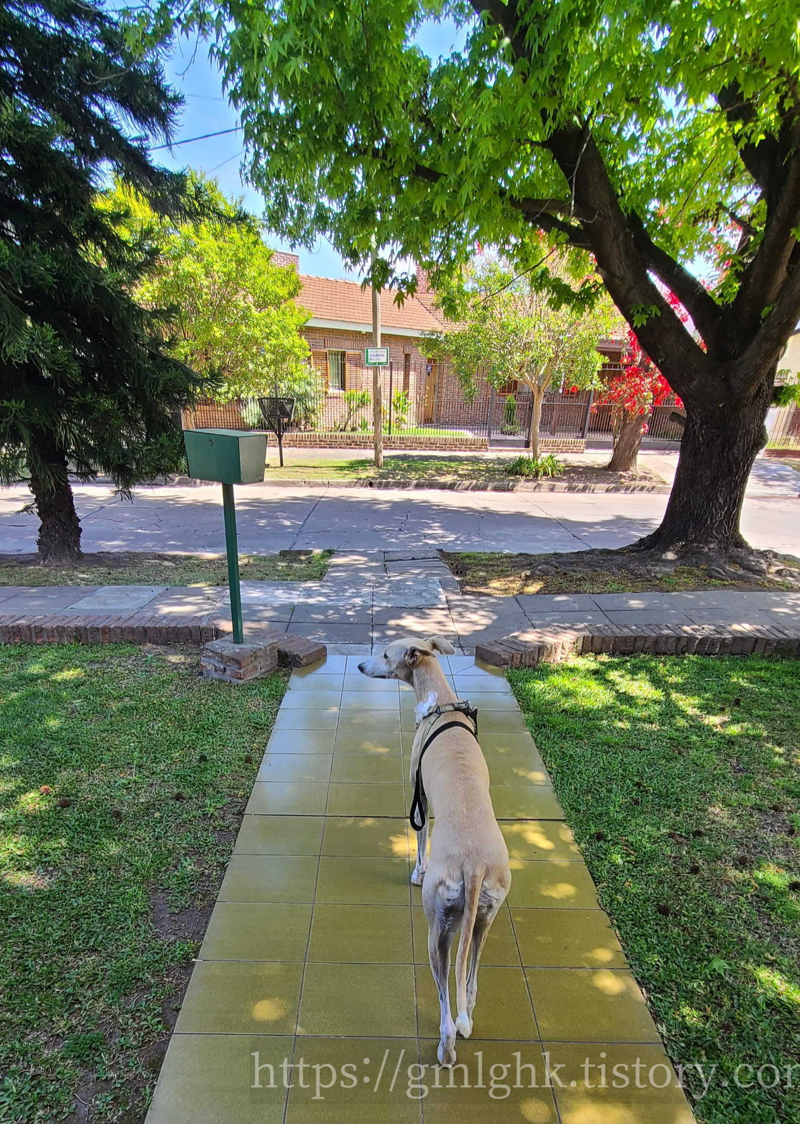 아르헨티나 날씨 10월 봄