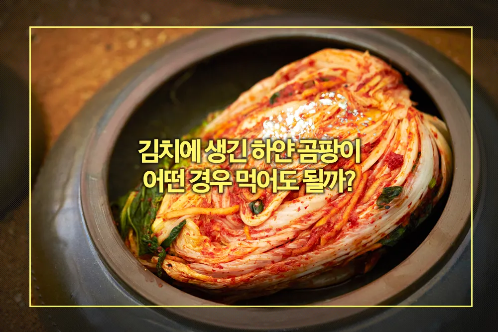 김치에 생긴 하얀 곰팡이 먹어도 될까