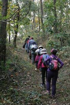 가파른-등산길을-한줄로-늘어서서-걸어올라가는-등산객들