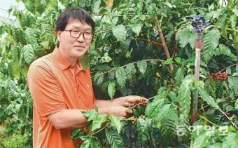 커피나무 재배 실내 재배 물 관리 가지 전정_8