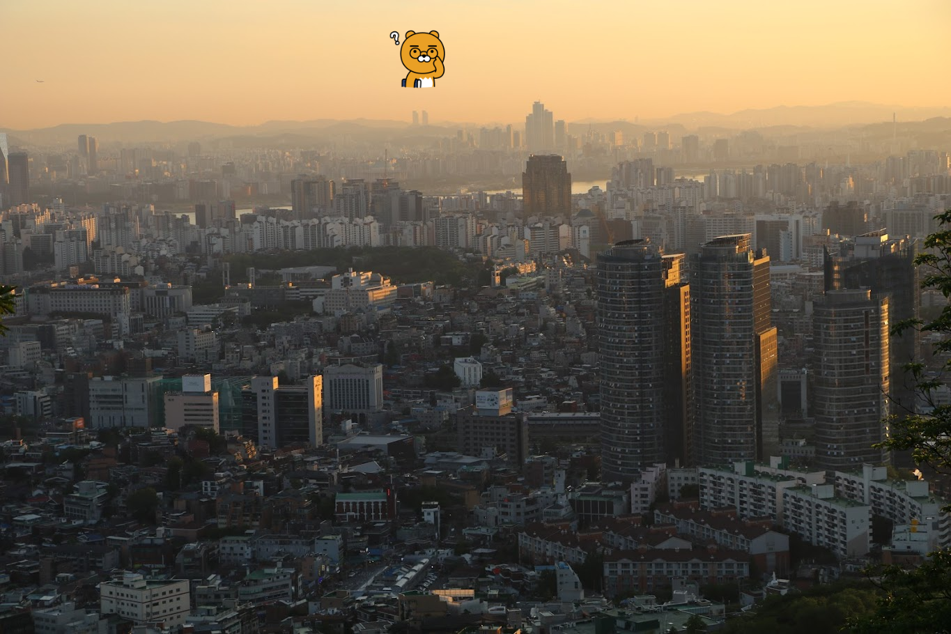 20년 전 검색보다 더 퇴보한 네이버 다음 검색의 저질화