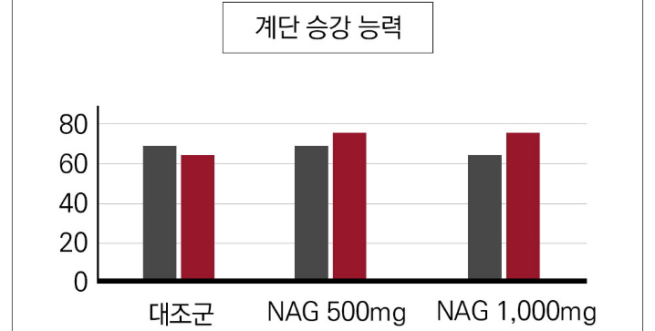 NAG시험결과-승강능력