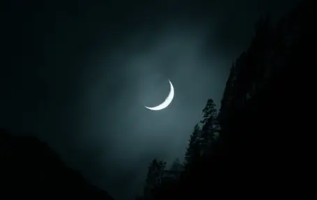 달 꿈해몽