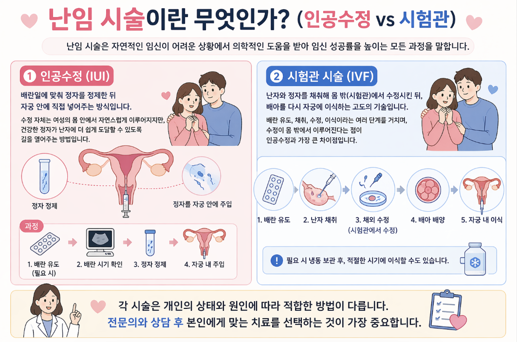 난임 시술 인공수정 시험관 차이 비교 과정 성공률 IVF IUI 설명
