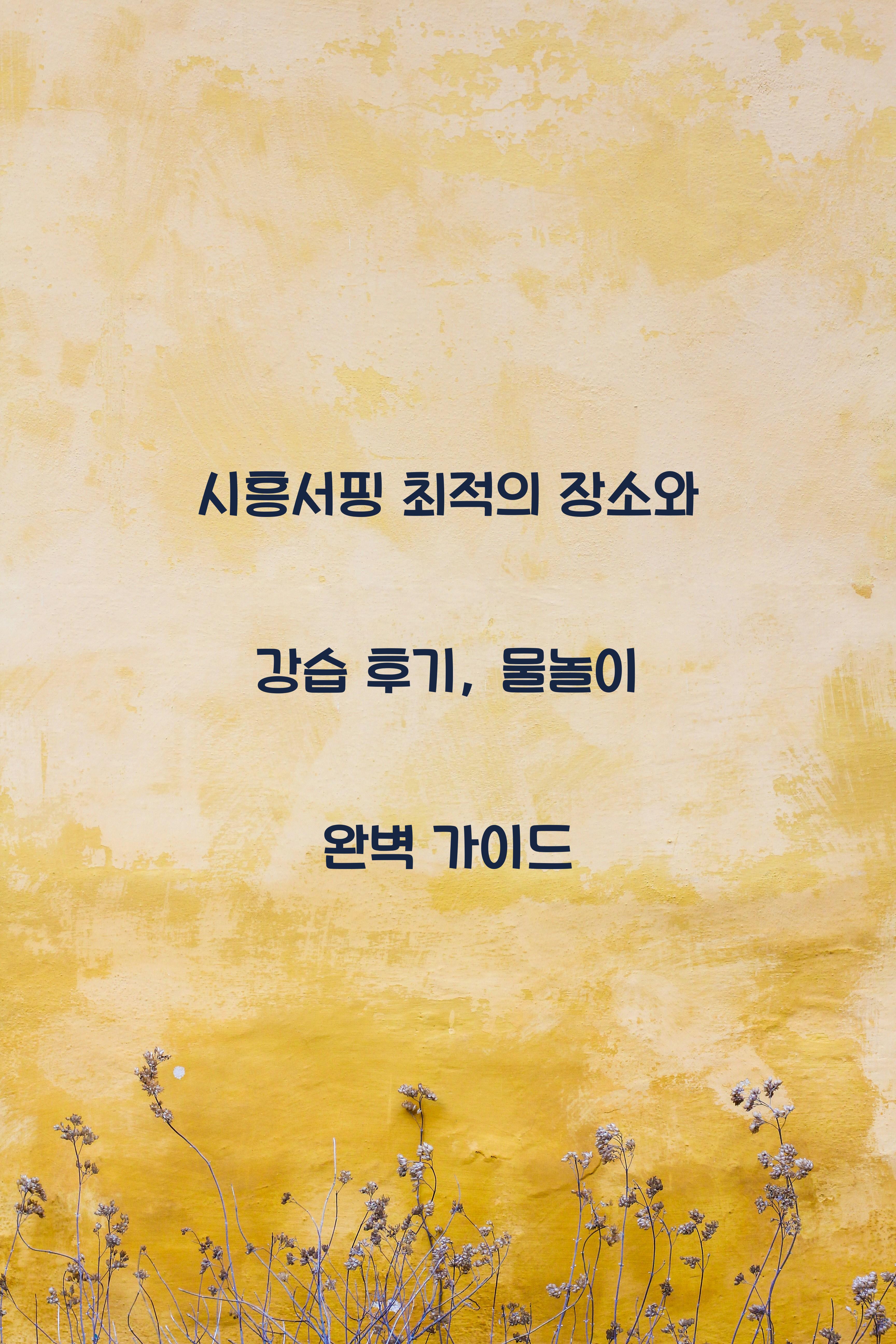 시흥서핑