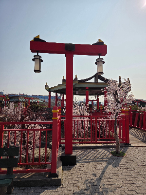 중고 레고 시장이 커지는 이유와 주의할 점