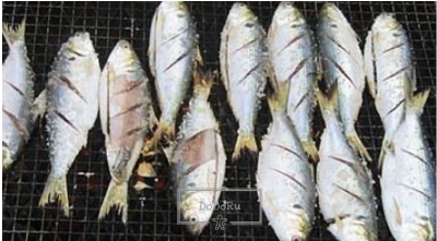 다이어트에-좋은-가을-제철음식-전어