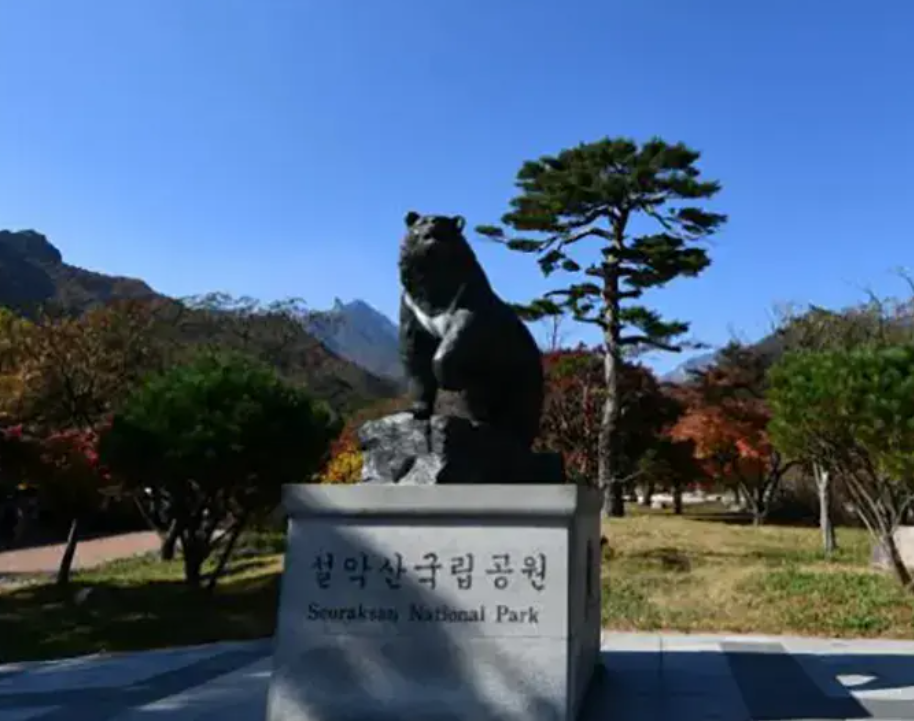 설악 케이블카 운행시간 예약방법 요금할인