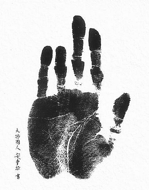 손바닥의모습