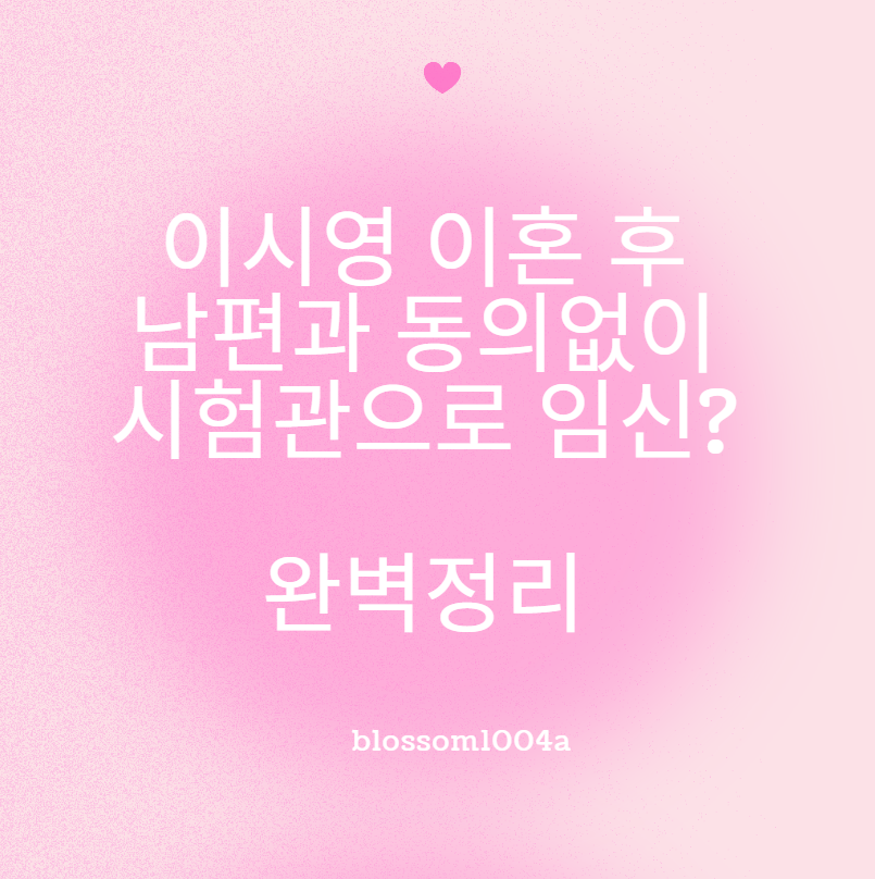 이시영 이혼 후 남편과 동의없이 시험관으로 임신?